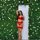 Lingerie Conjunto Luxo Sensual Trio Renda Cinta Liga Sexy Erótica + perneira + calcinha fio dental - P ao Plus Size